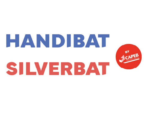Logo_Handibat_Silverbat